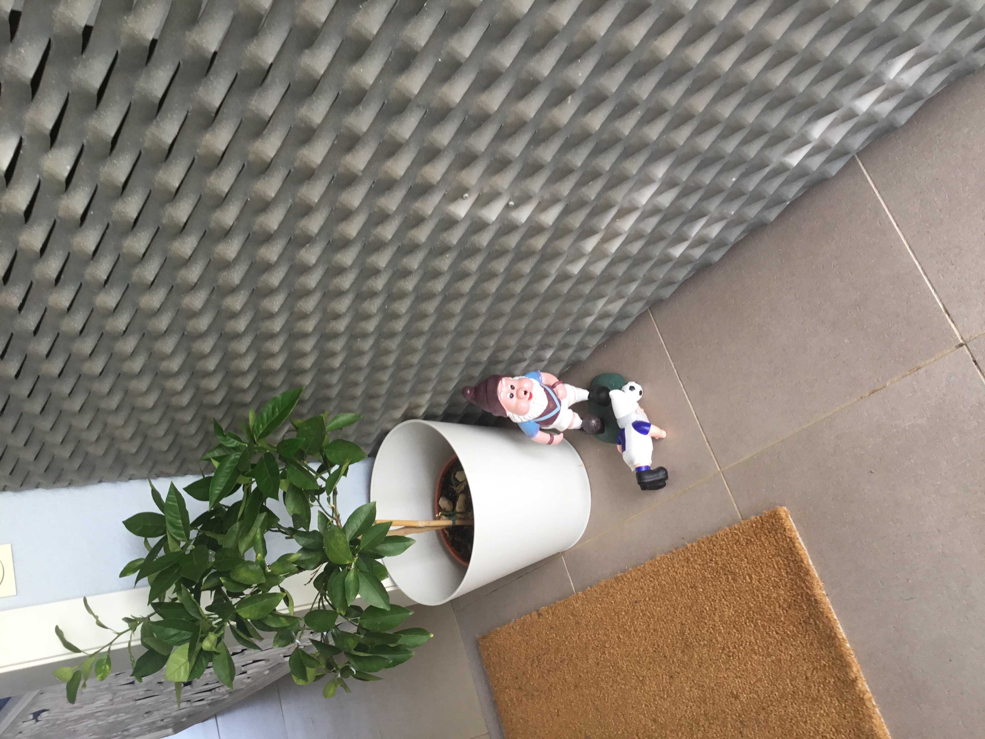 IMG_2899.jpeg