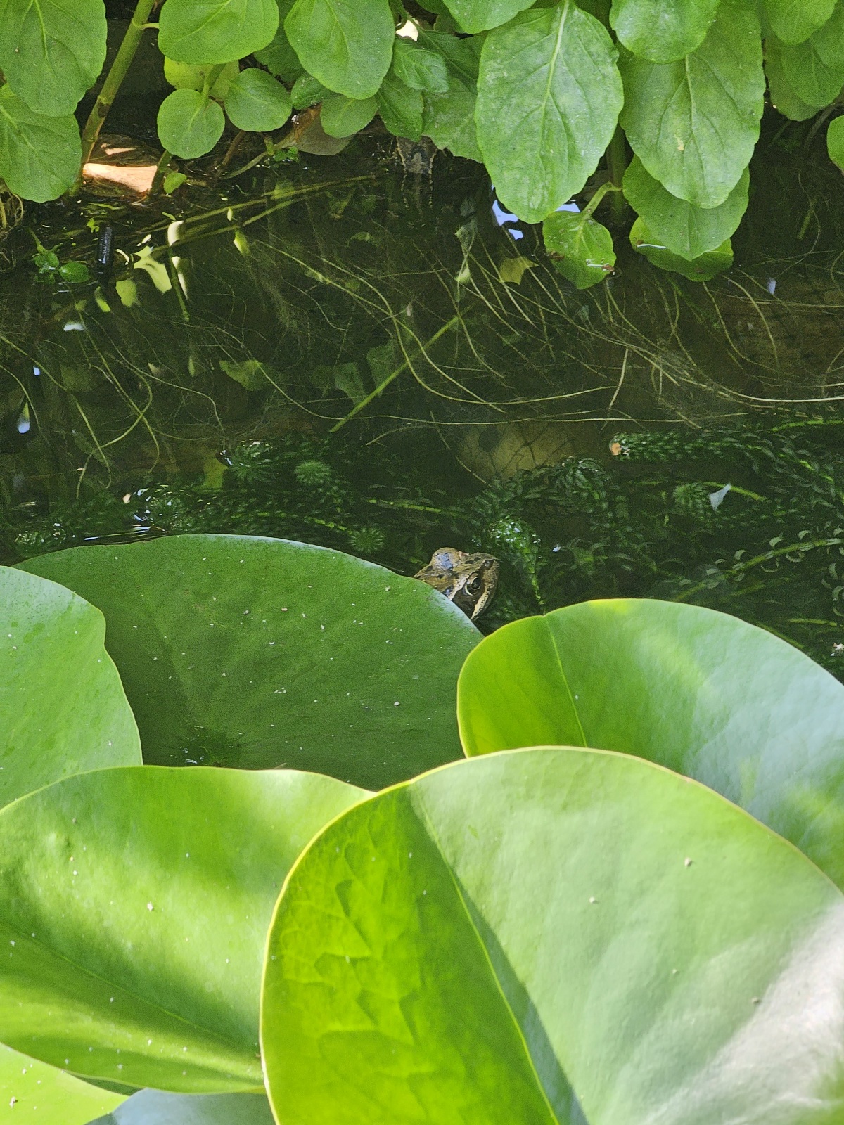20230622_164712.jpg