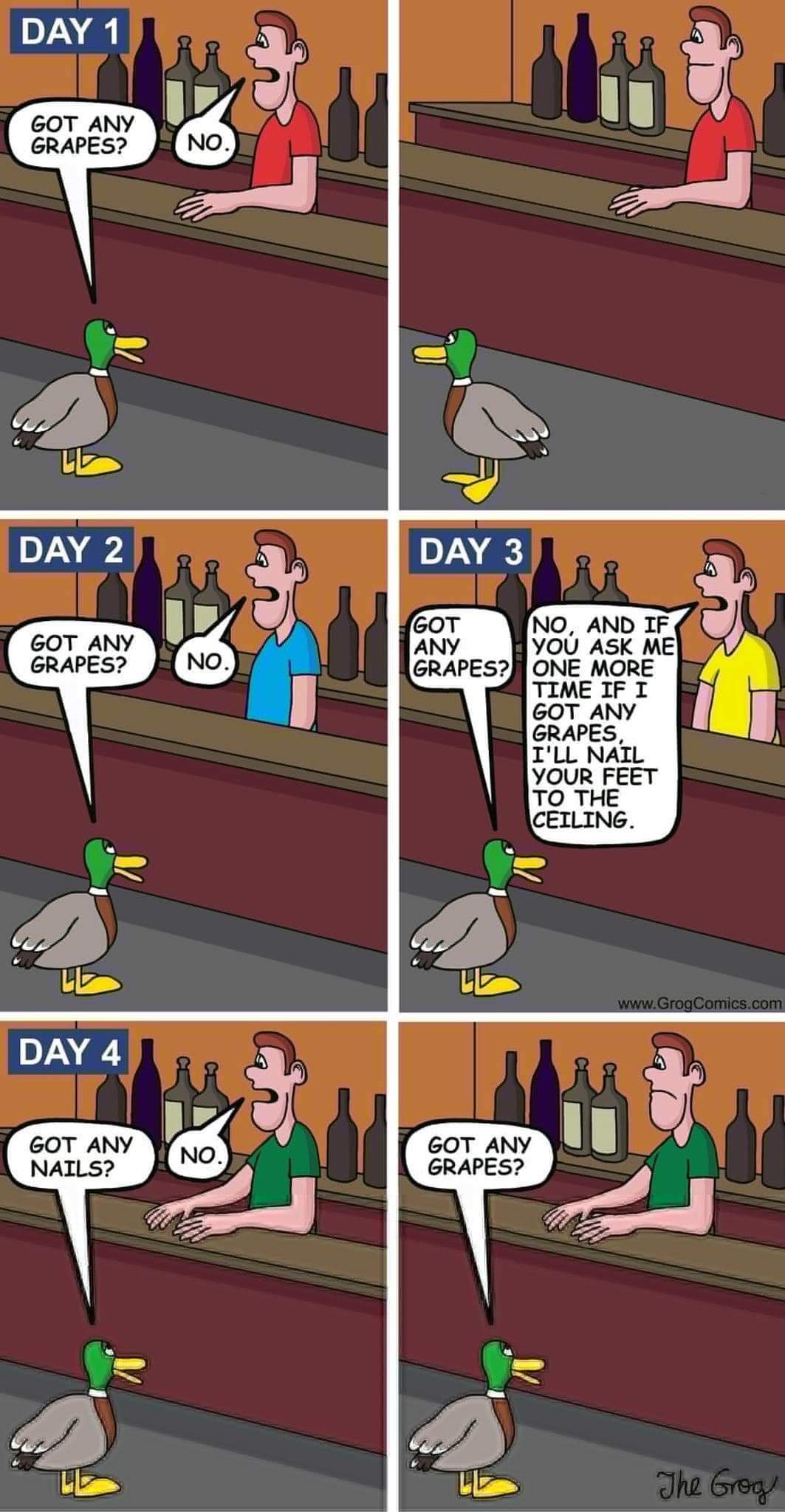 FB_IMG_1688814638907.jpg