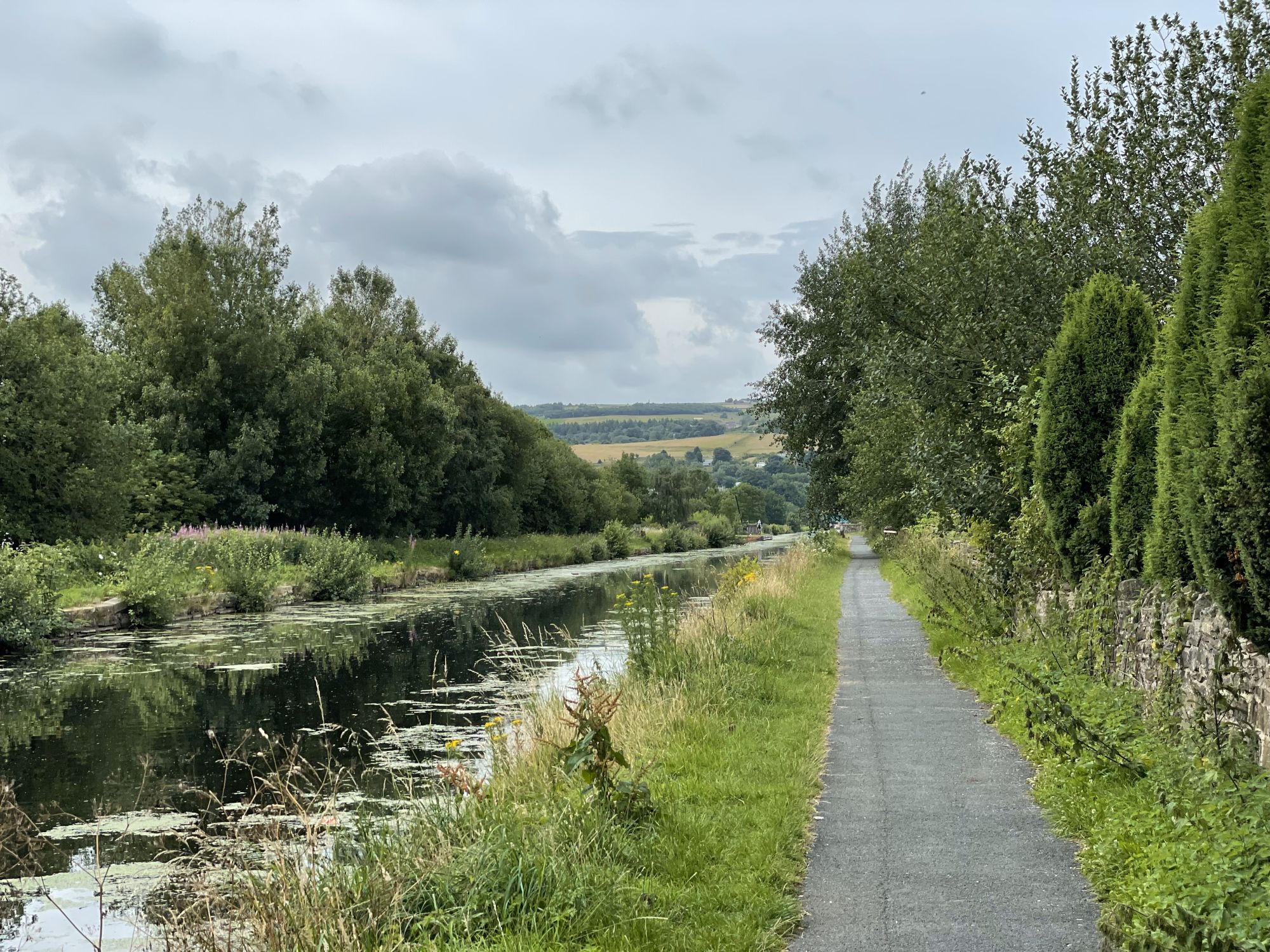 Walk 1007 1.jpg