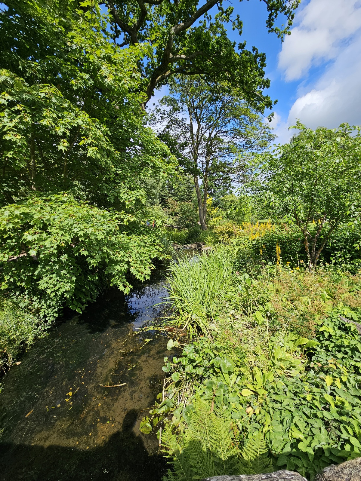 20230713_115059.jpg