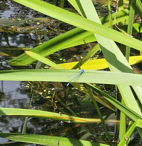 20230713_115055.jpg