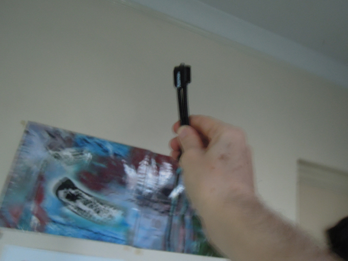 selfie stick.jpg