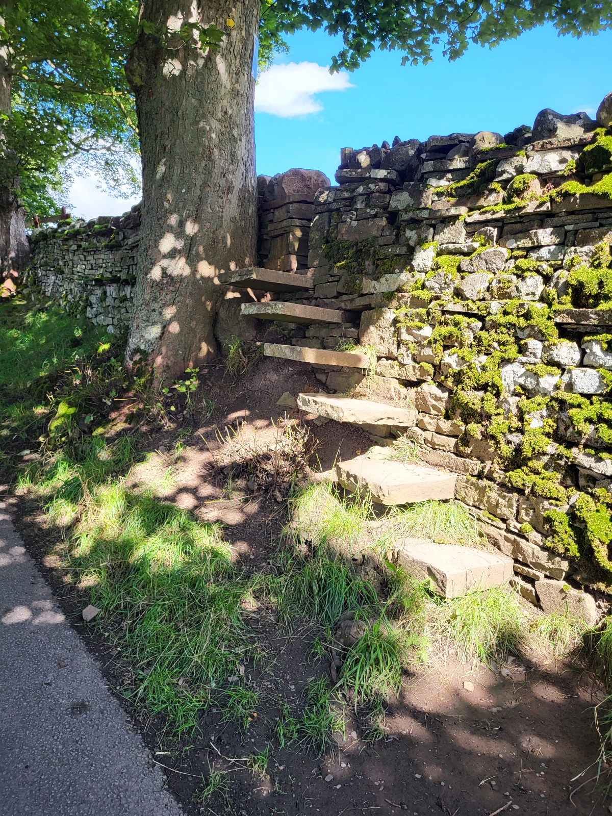 20230815_120629.jpg