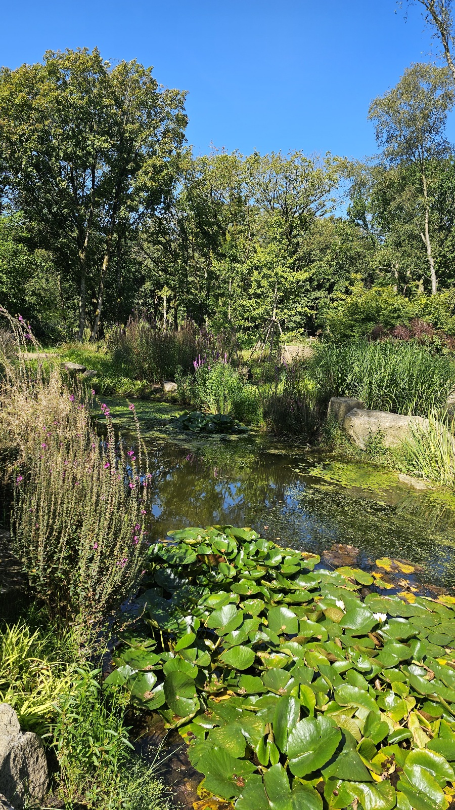 20230905_120659.jpg