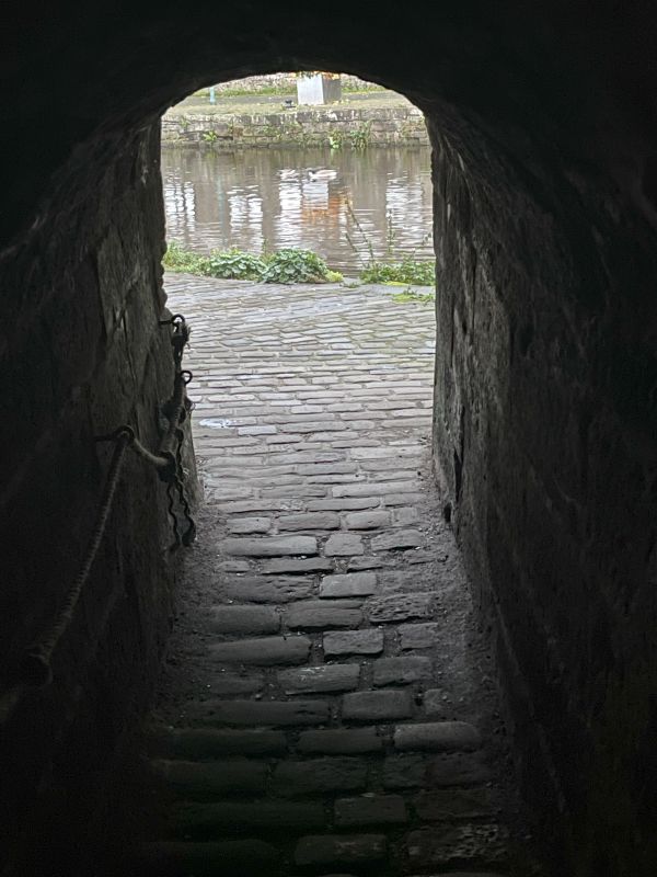 walk 2809 1.jpg
