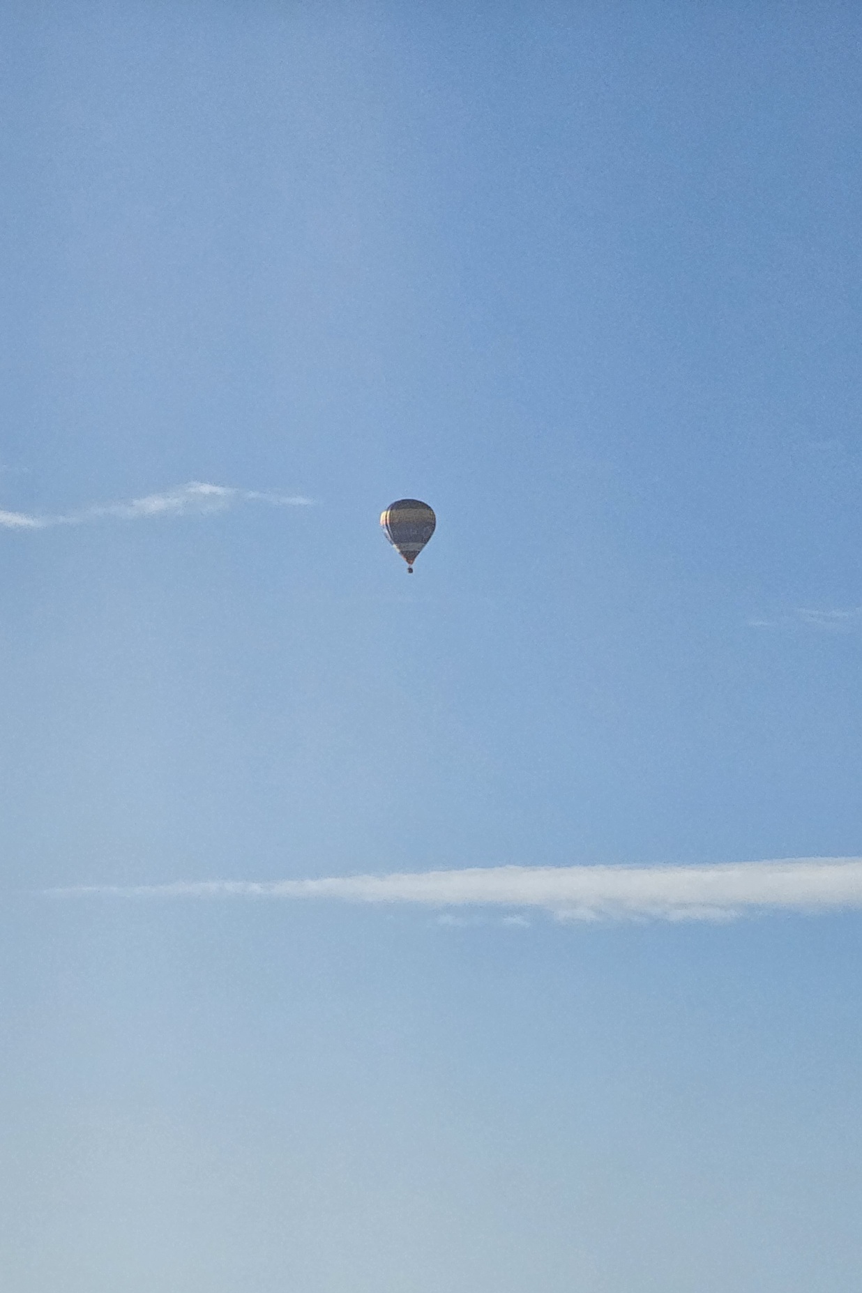 20231012_085236.jpg
