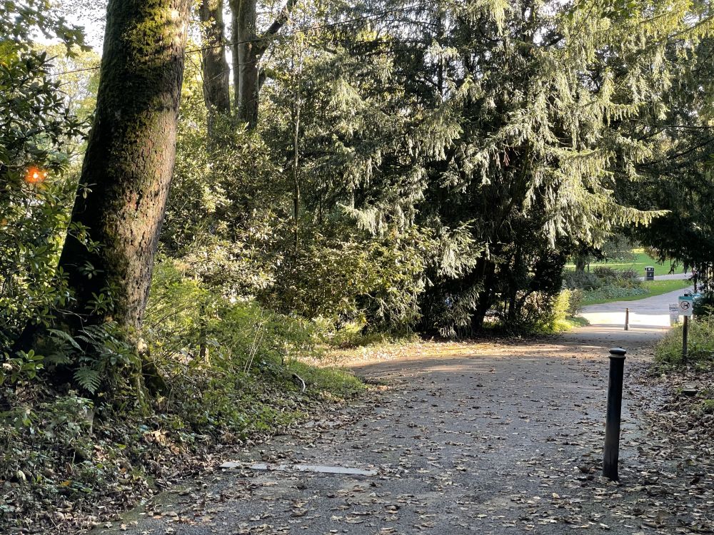 Walk 1210 1.jpg