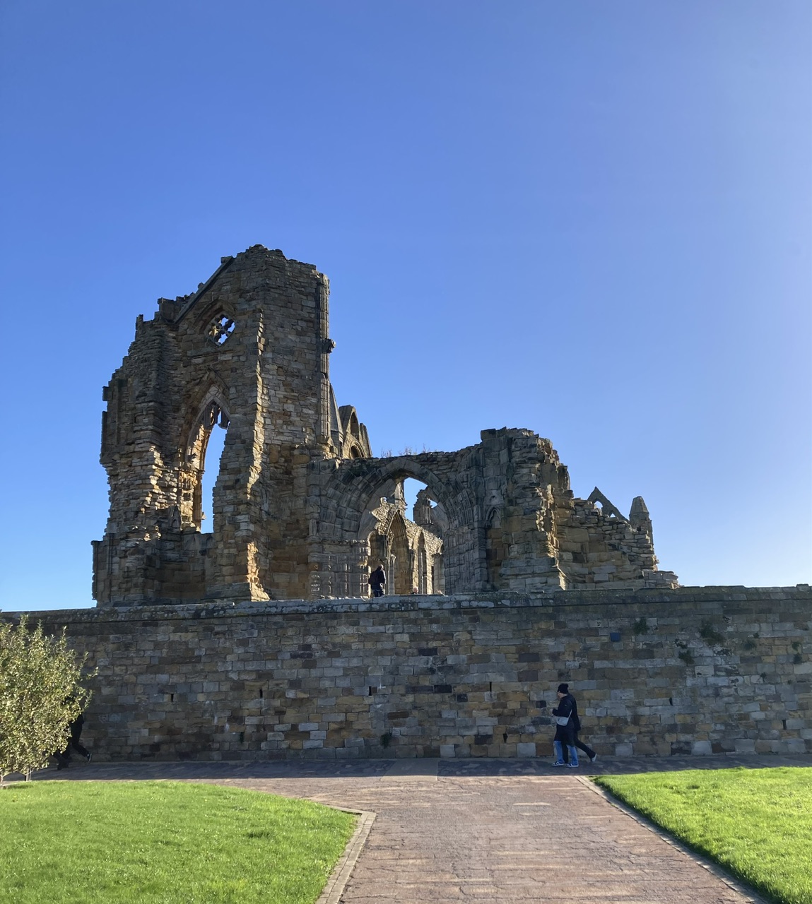 IMG_1873.jpeg