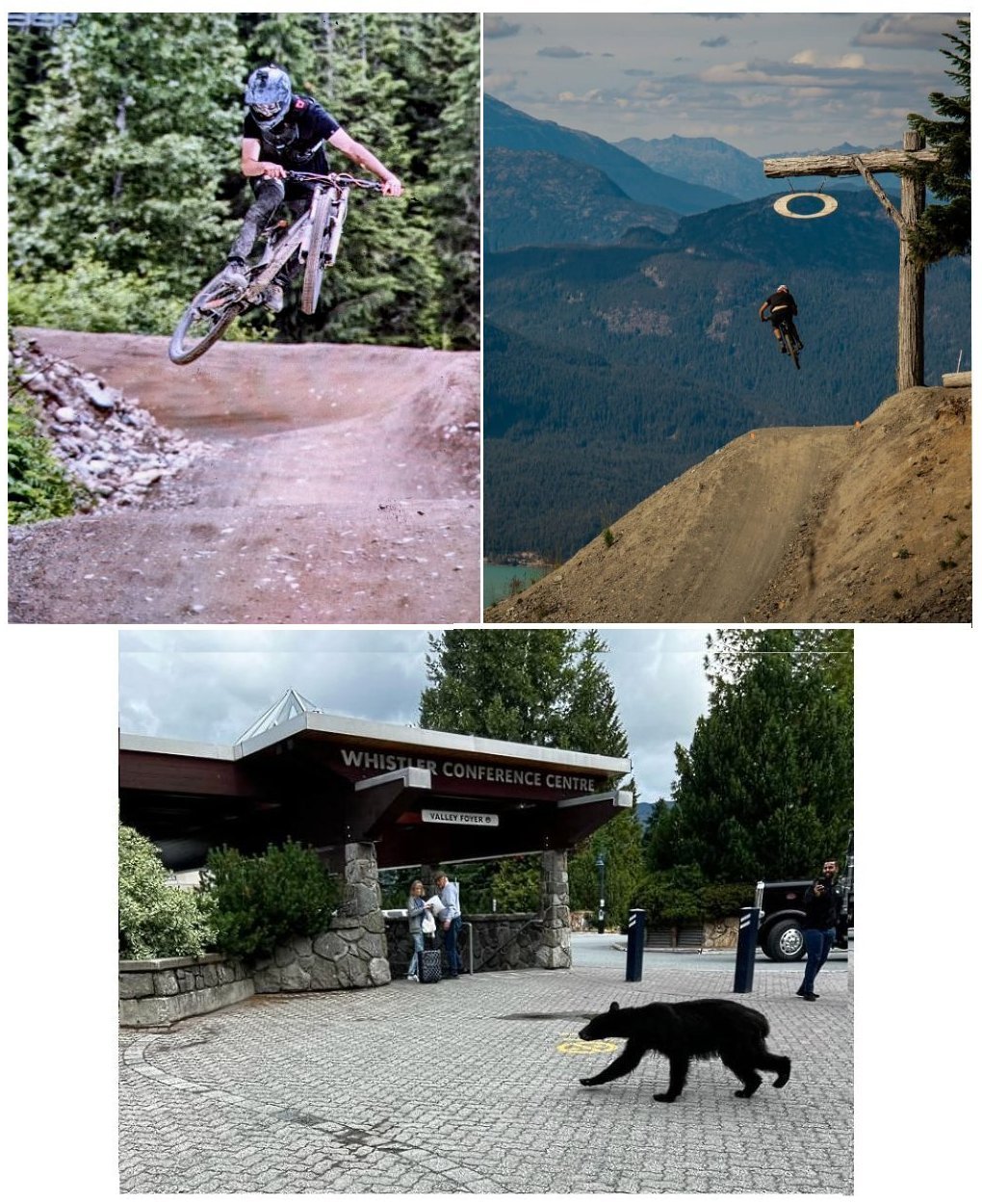 Whistler.jpg