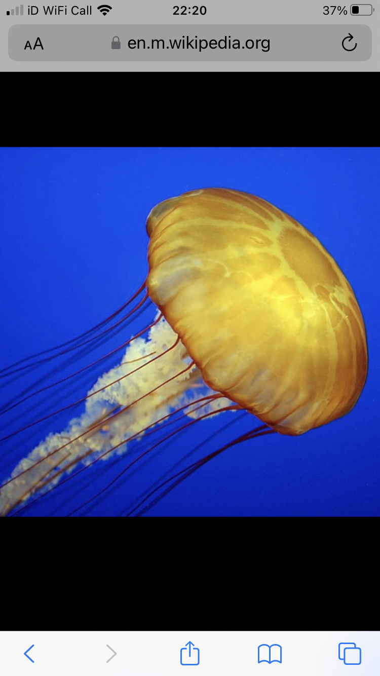 IMG_0795.png