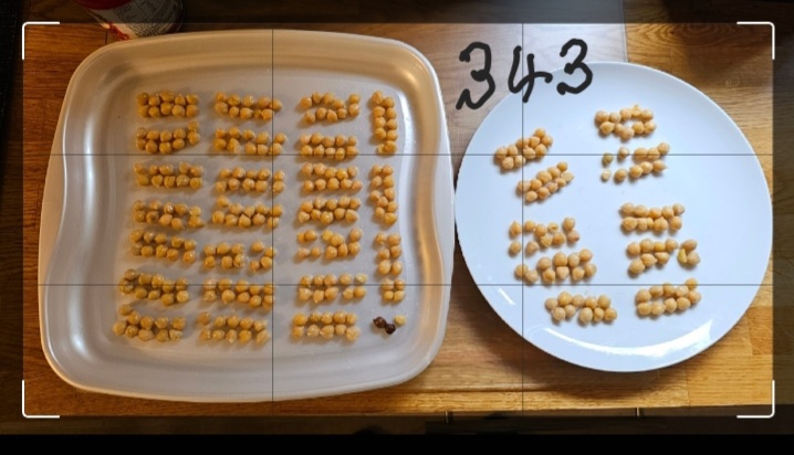 343 Chickpeas.jpg