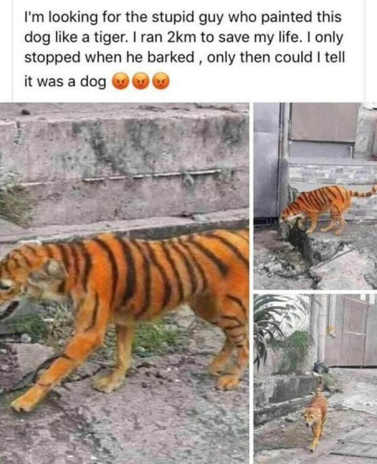 zzz92r3df2rrr3MEM250923.jpg-768x943.jpg