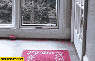 pWVZmtY7Tssmc.gif