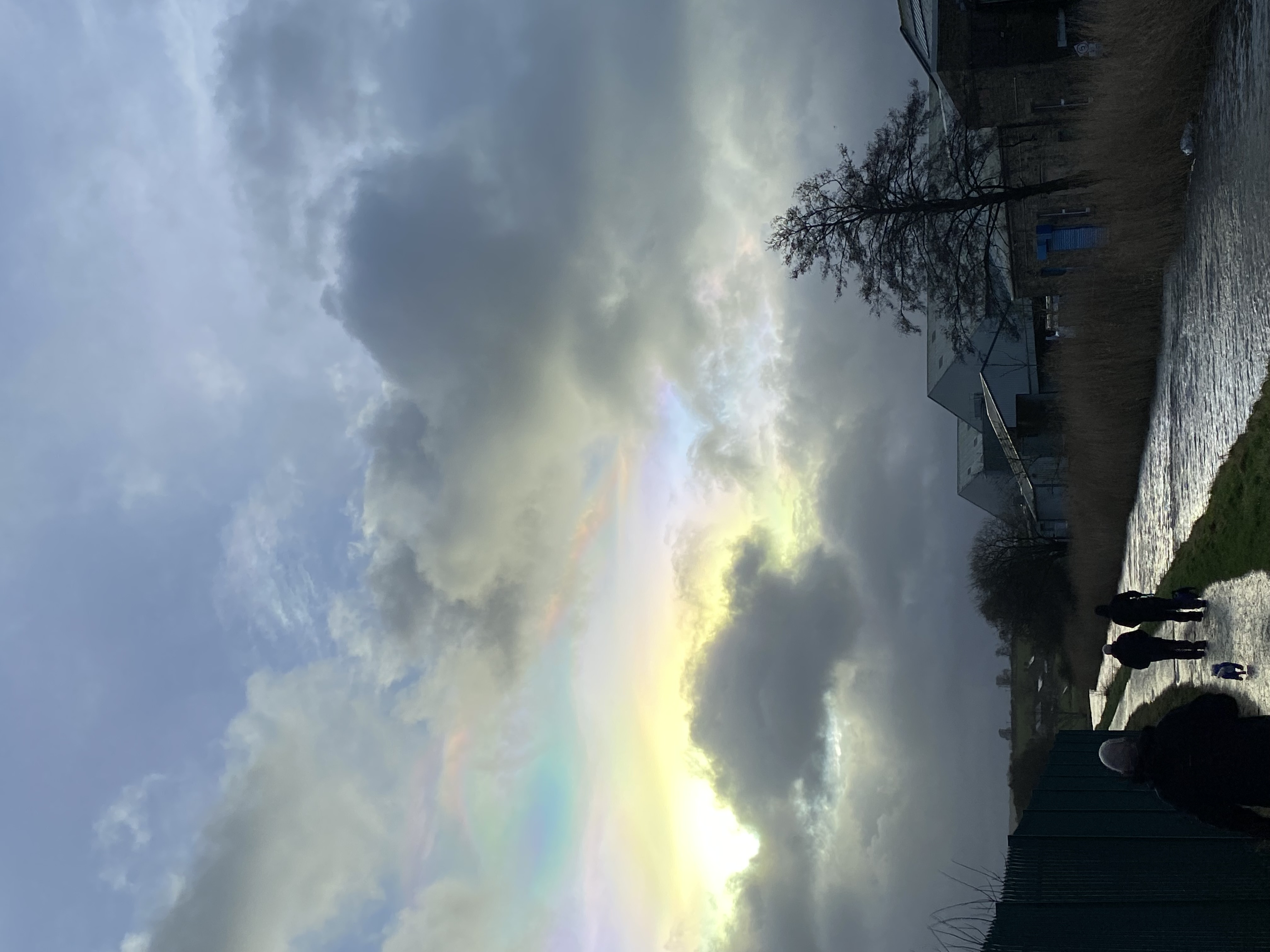 IMG_1934.jpeg