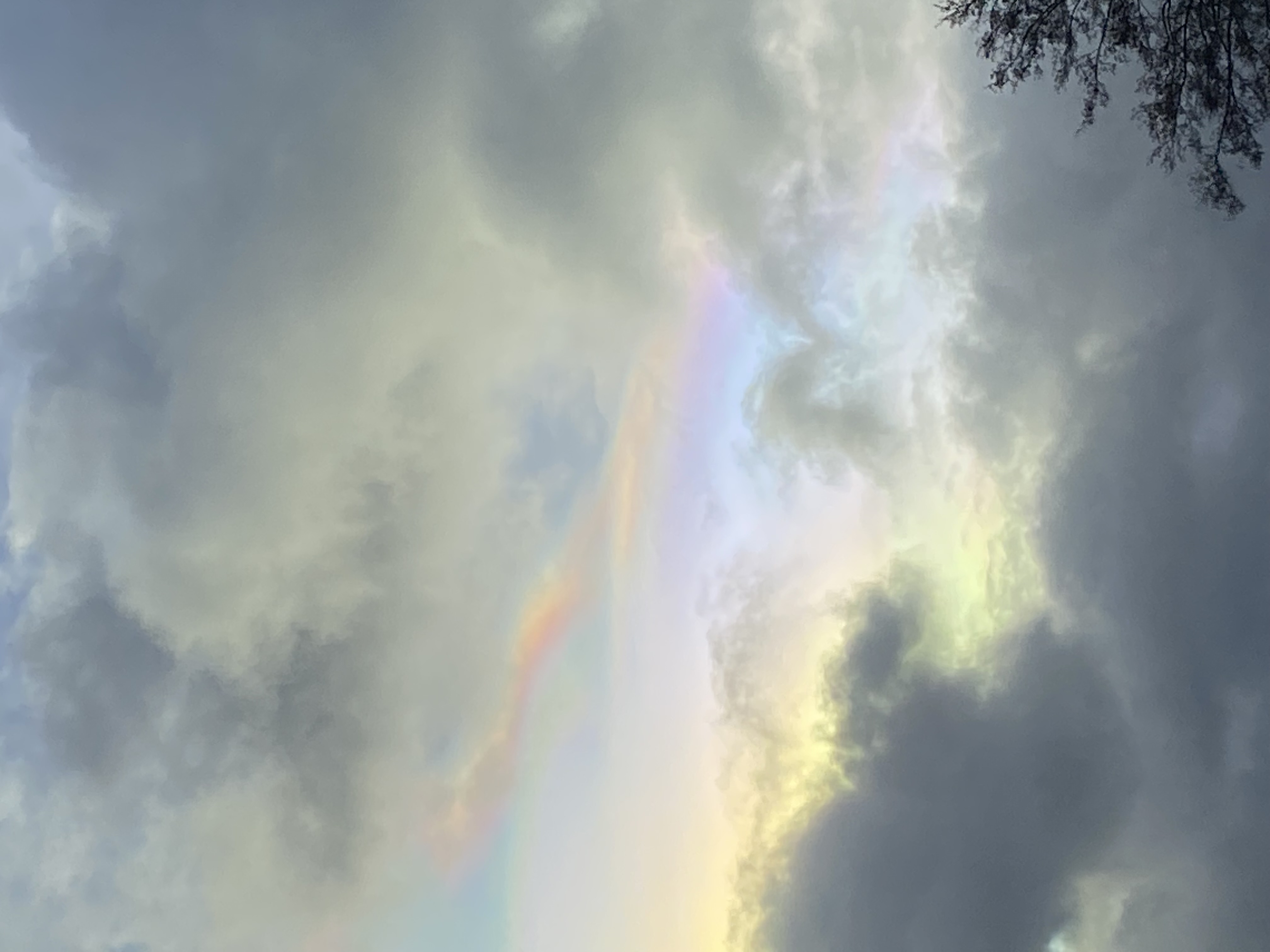 IMG_1933.jpeg
