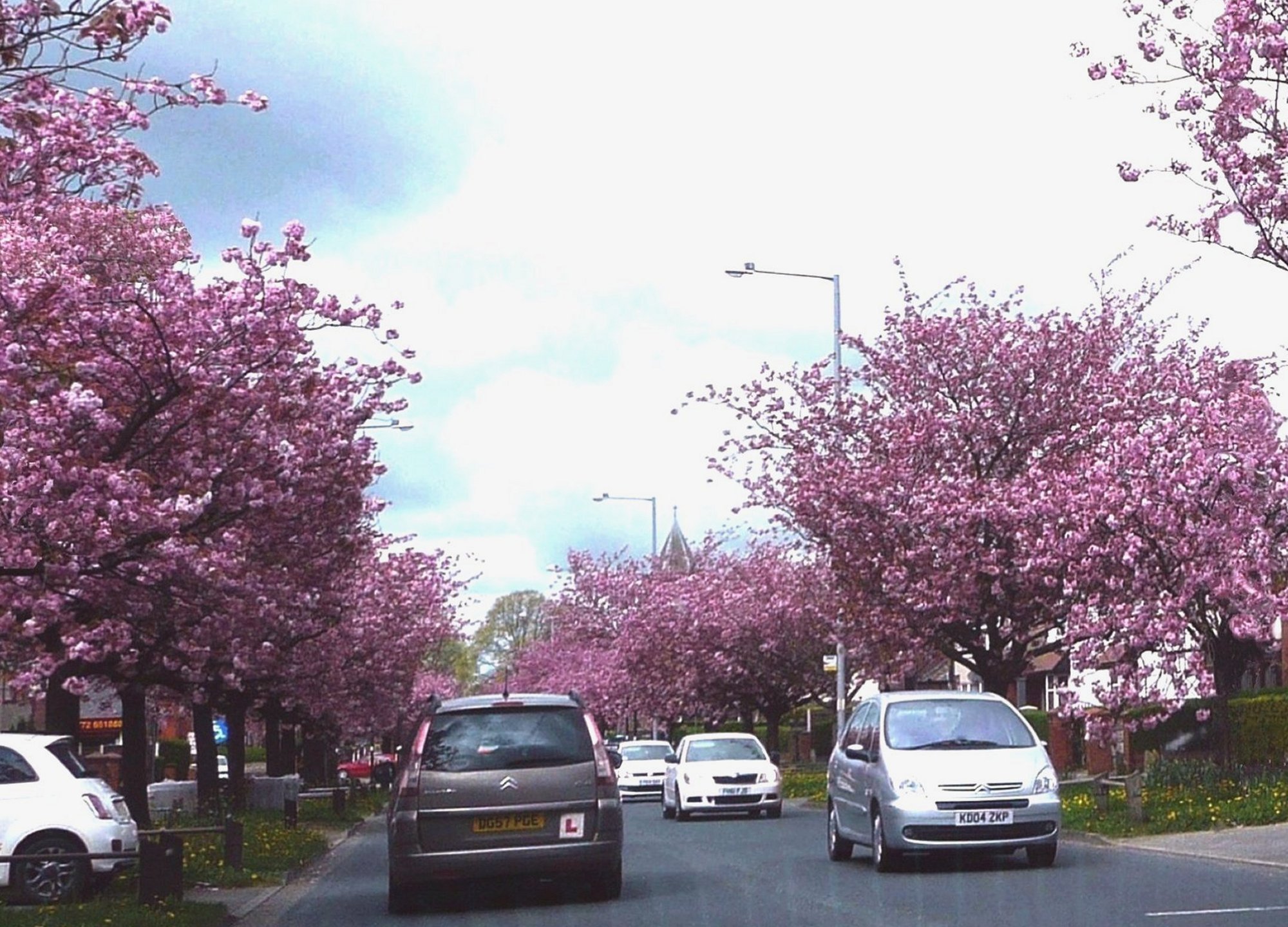 Blossom, Blackpool Rd, Preston..jpg