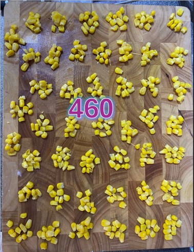 Result 460.jpg