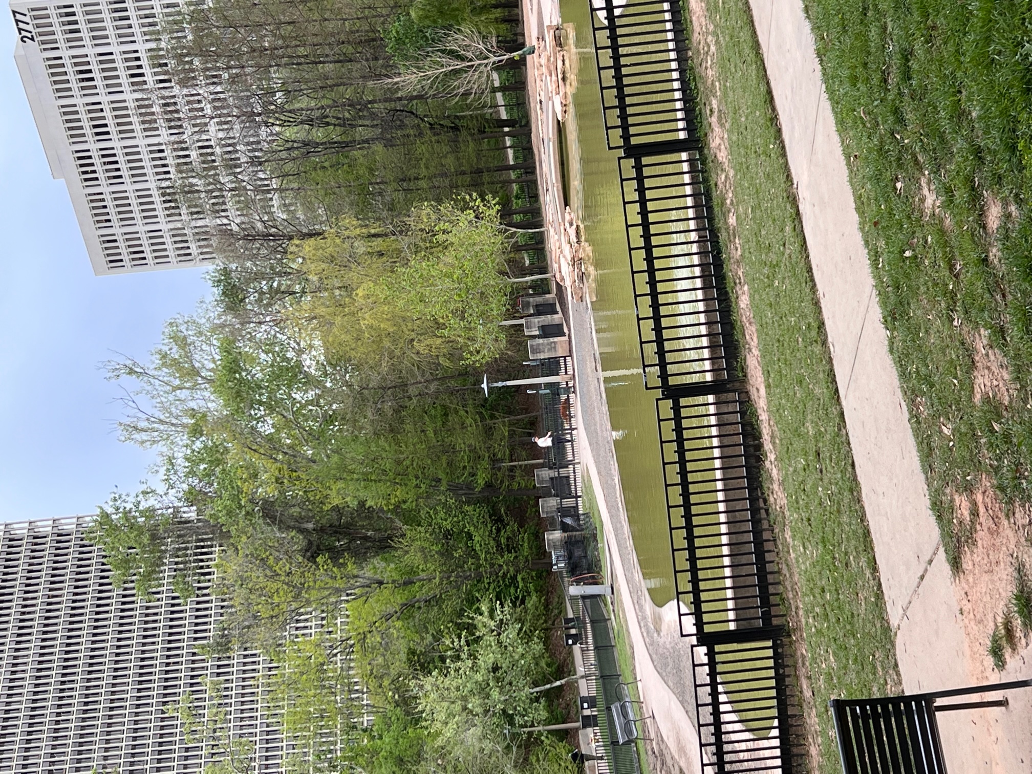 DogPark.jpg