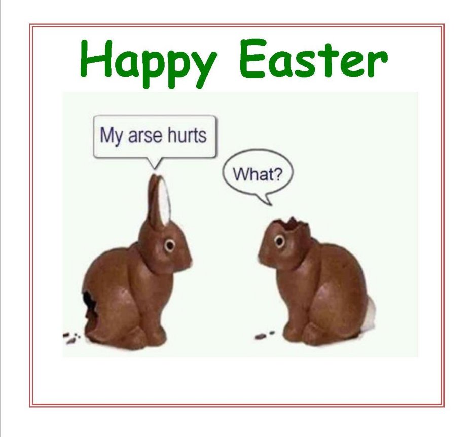 Easter Bunnies.jpg