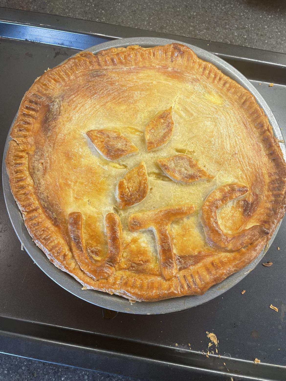 Andy Pie.jpg
