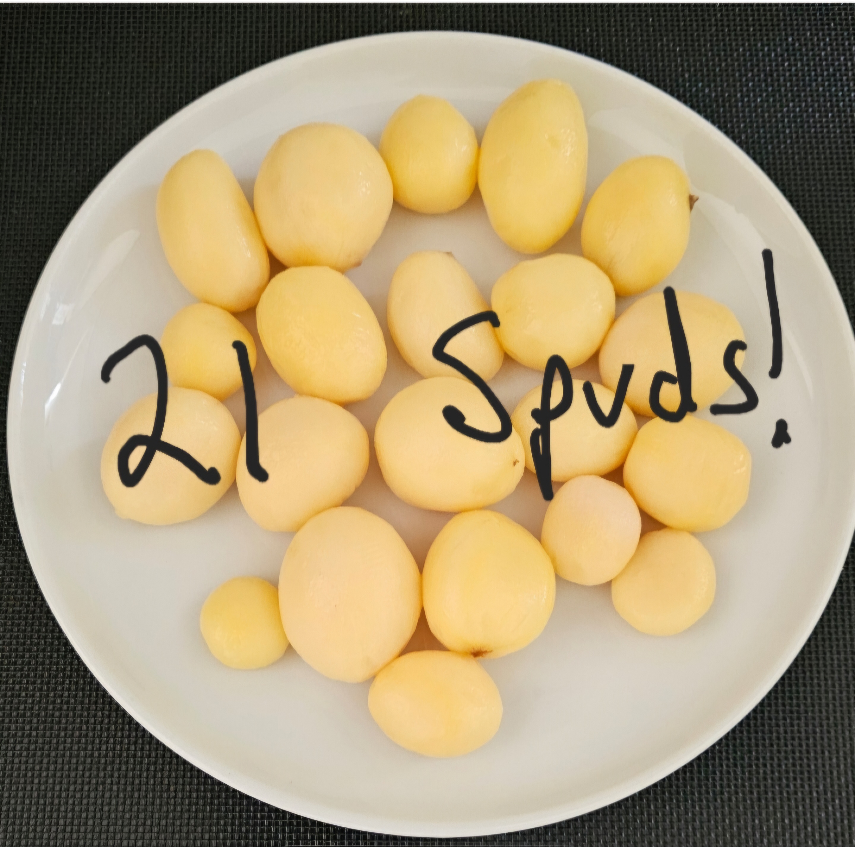 21 Spudicles.jpg