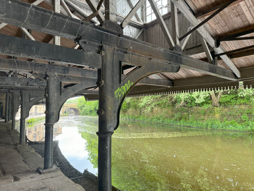 Walk 17 May 6.jpg