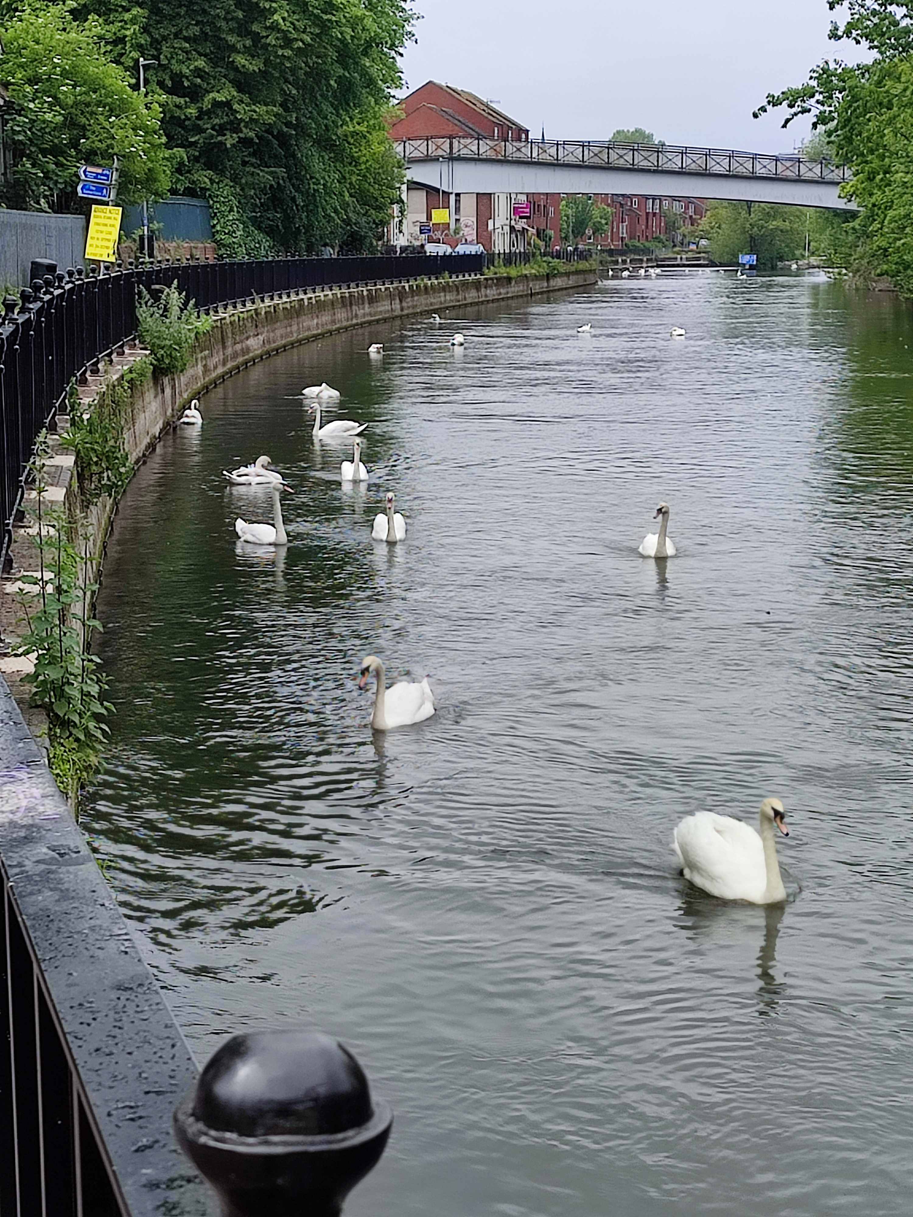 Rdgwalk3b.jpg