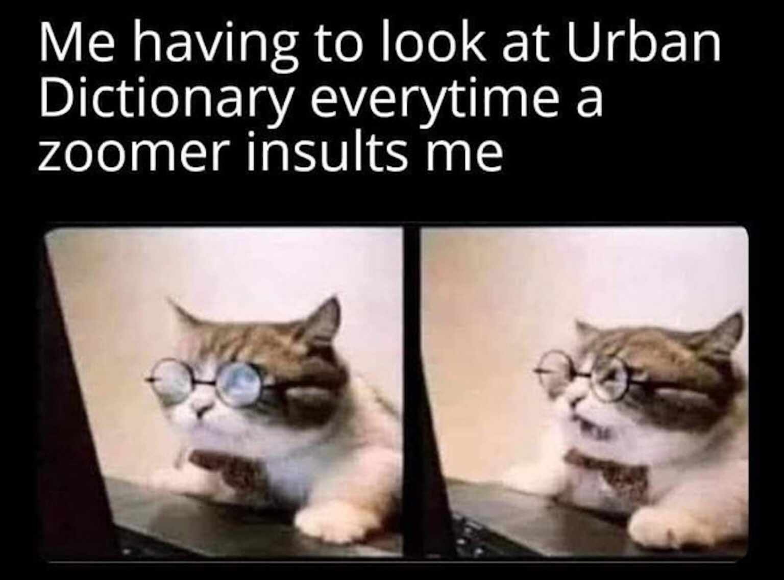 4240524meme.jpeg-1-1536x1137.jpg