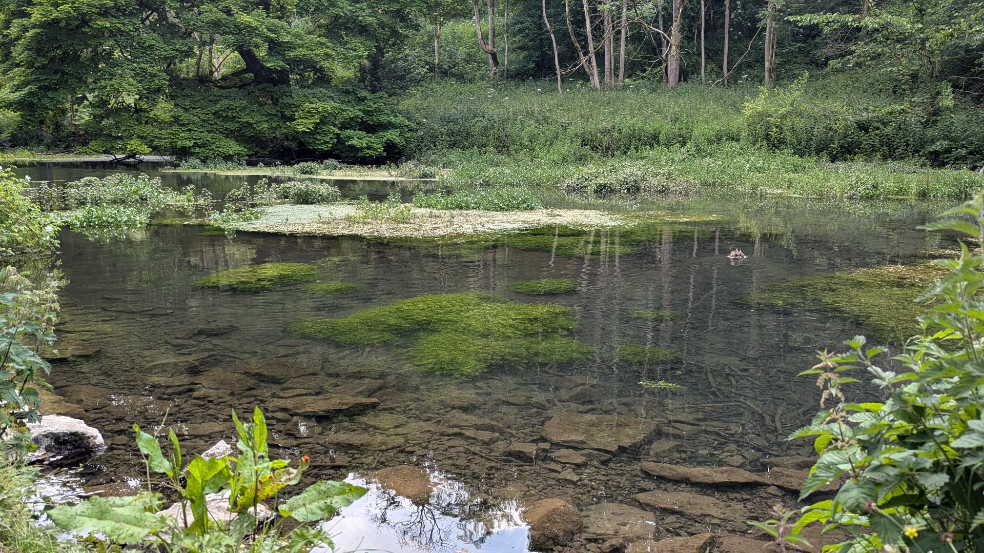 PXL_20240621_180748240.MP_copy_2016x1134.jpg
