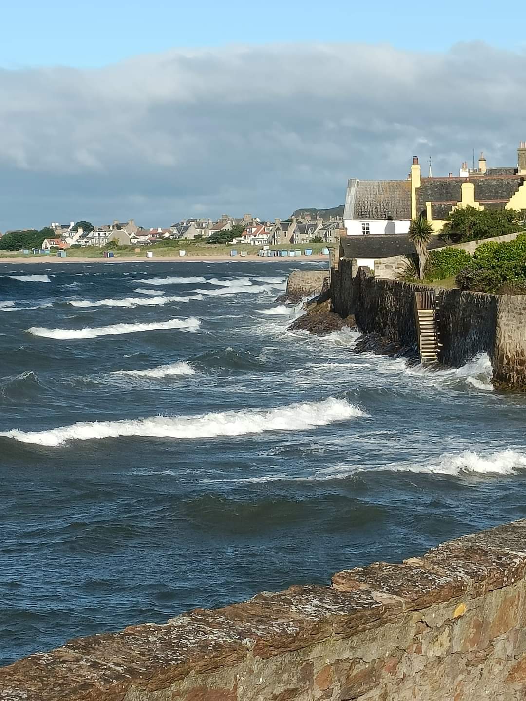 ELIE 54093505.jpg