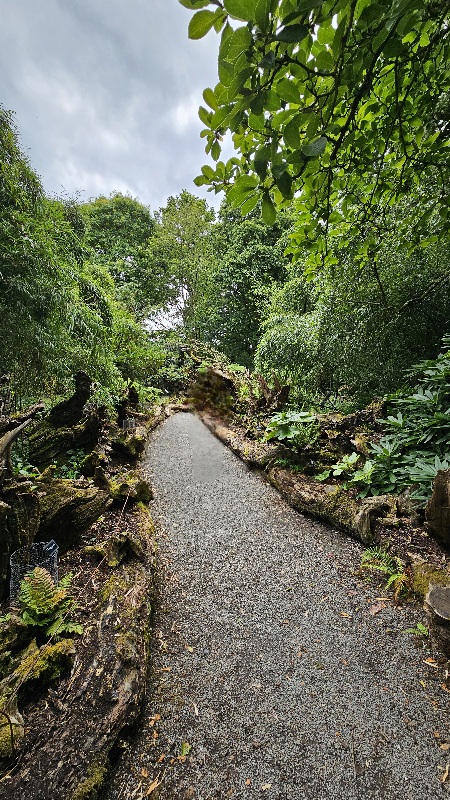 20240717_121529.jpg