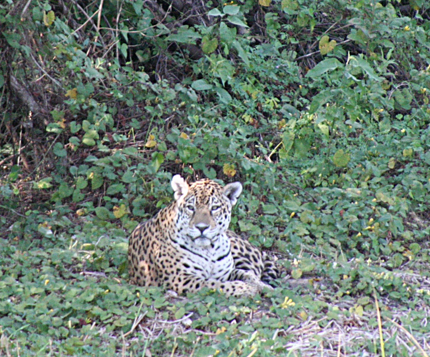 IMG_9628.JPG