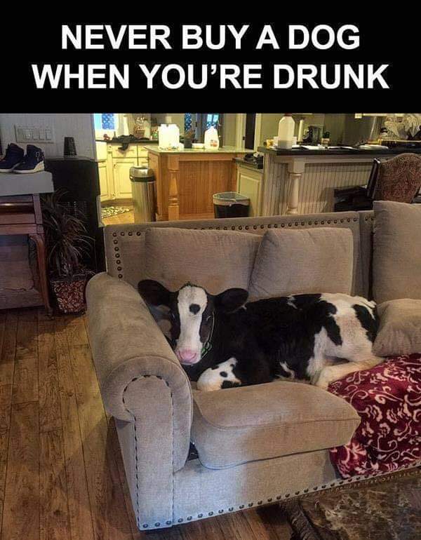 FB_IMG_1731594124334.jpg