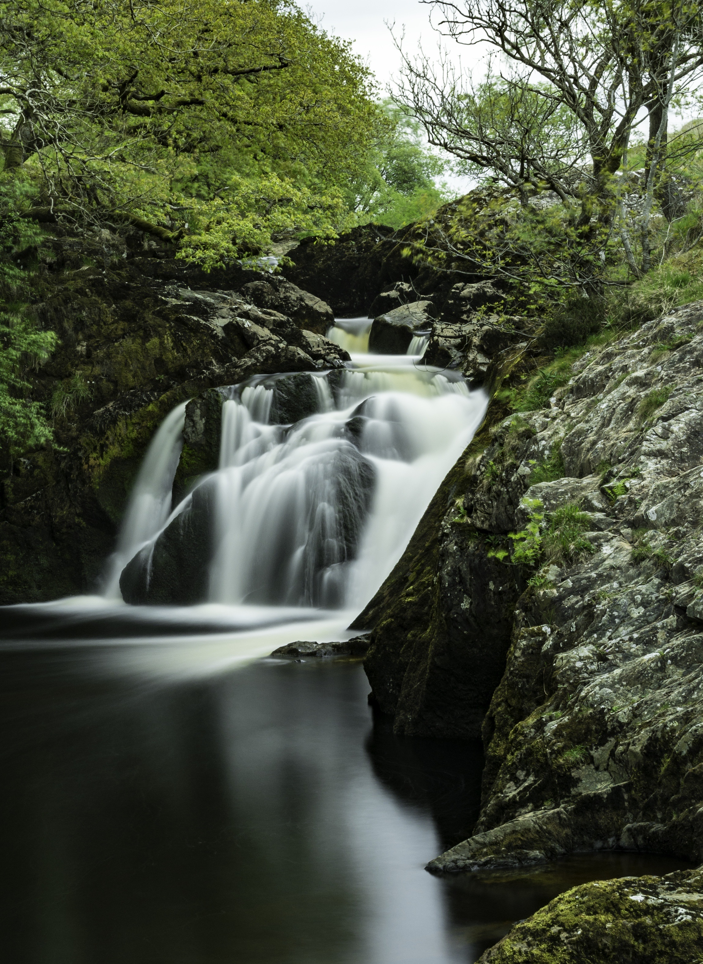DSC_5942-Edit.jpg