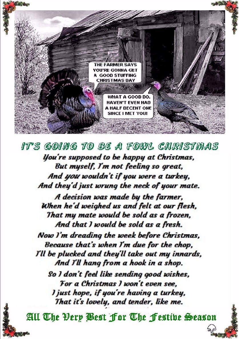 Fowl Christmas Card 2023.jpg