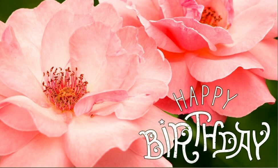 36407-cc_birthday_flower2017.1100w.tn-1.jpg