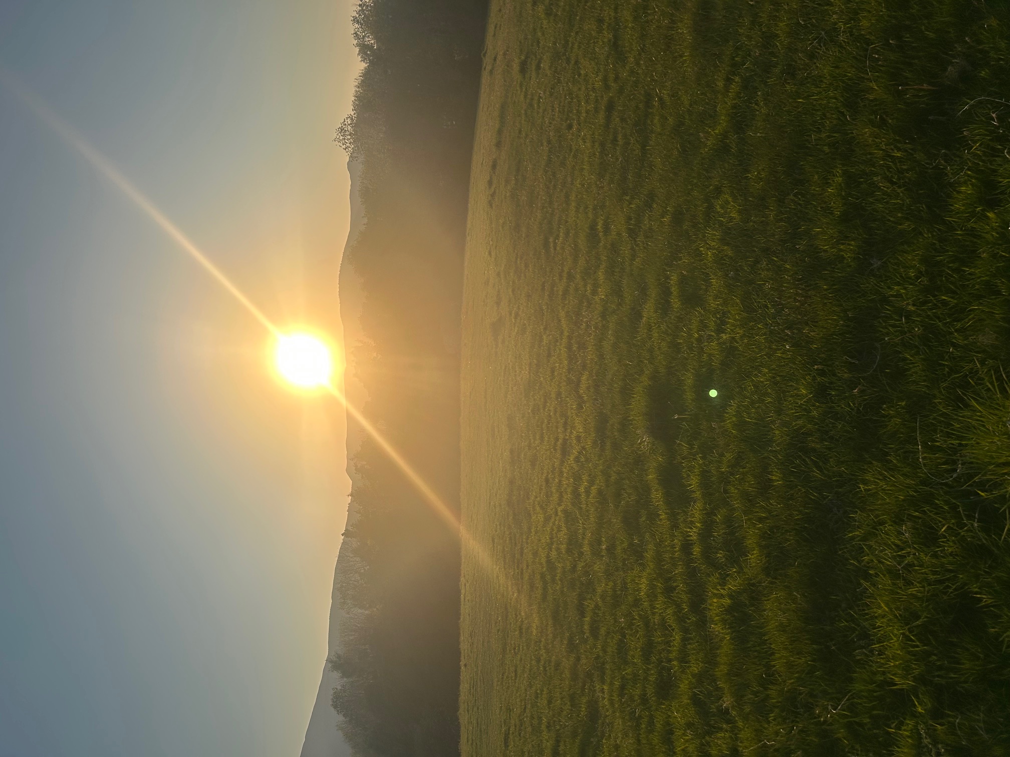 IMG_8822.jpeg