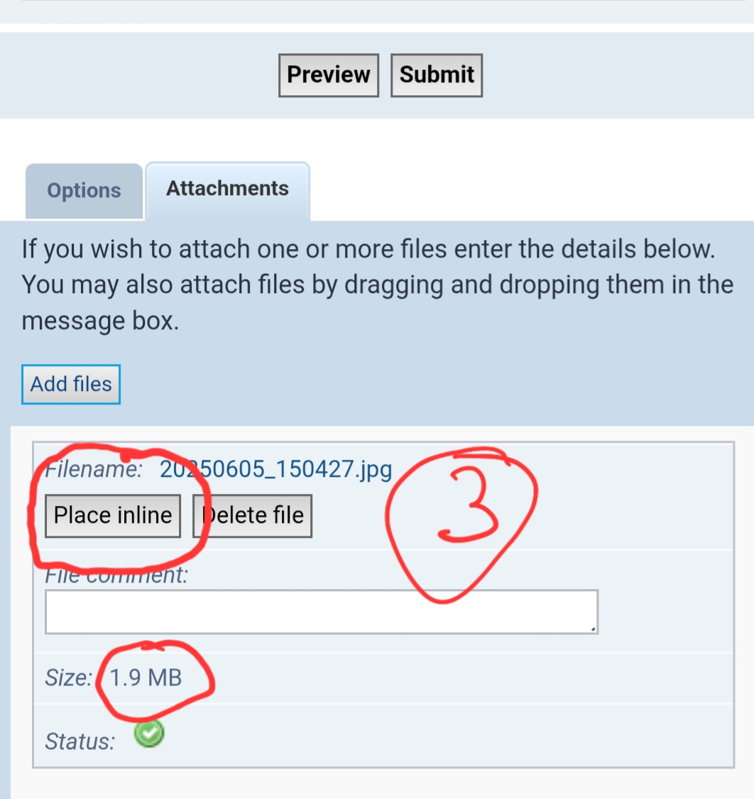 Screenshot_20250606_155302_Chrome.jpg