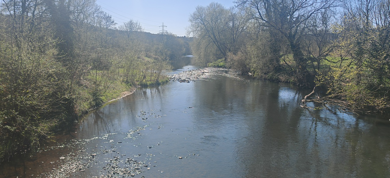 IMG_20250406_141113_Original.jpeg