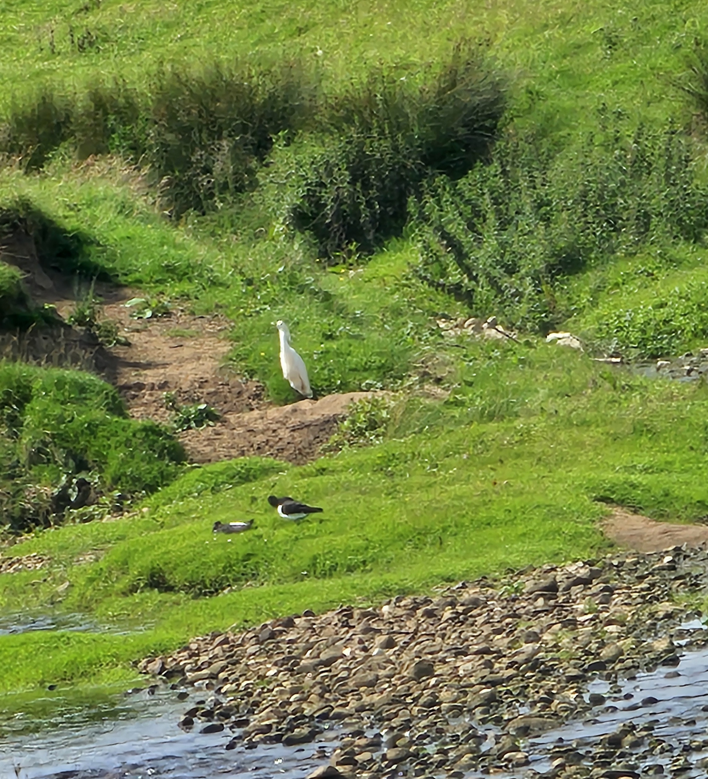 20250703_151948.jpg