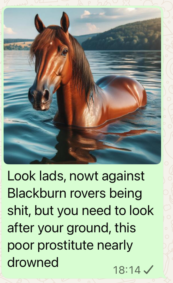 HORSE.jpg