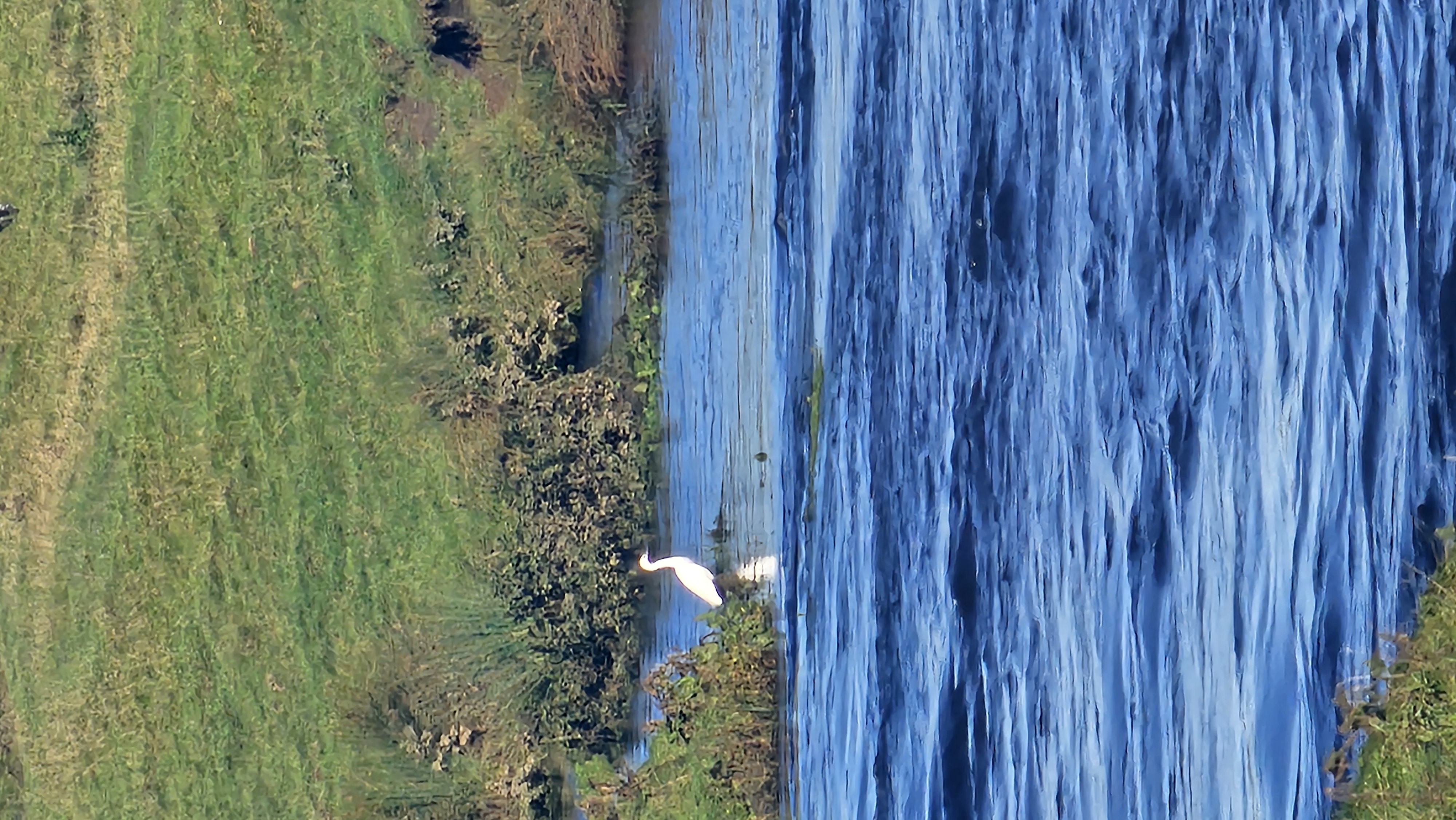 20250922_093413.jpg