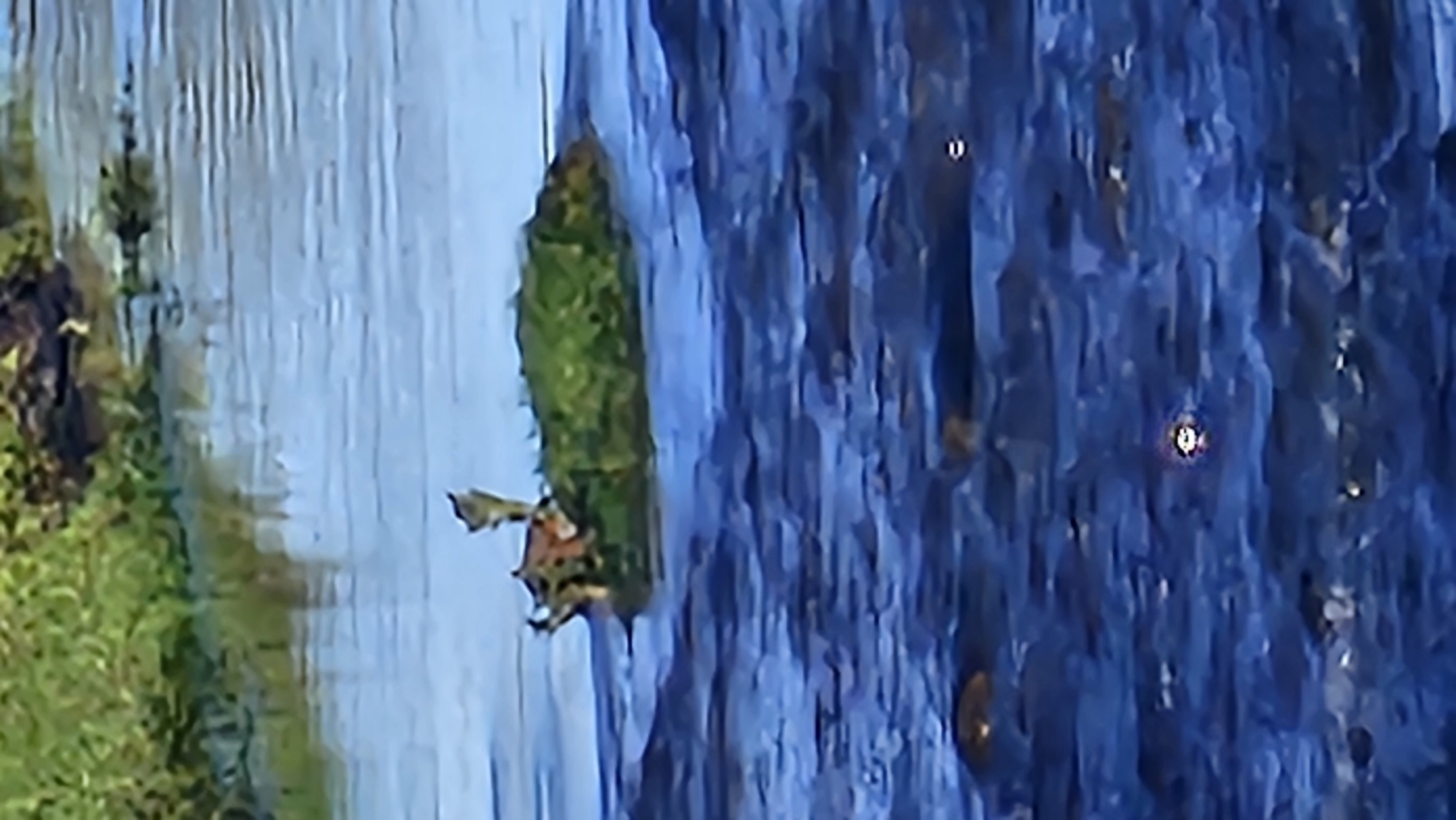 20250925_094237.jpg