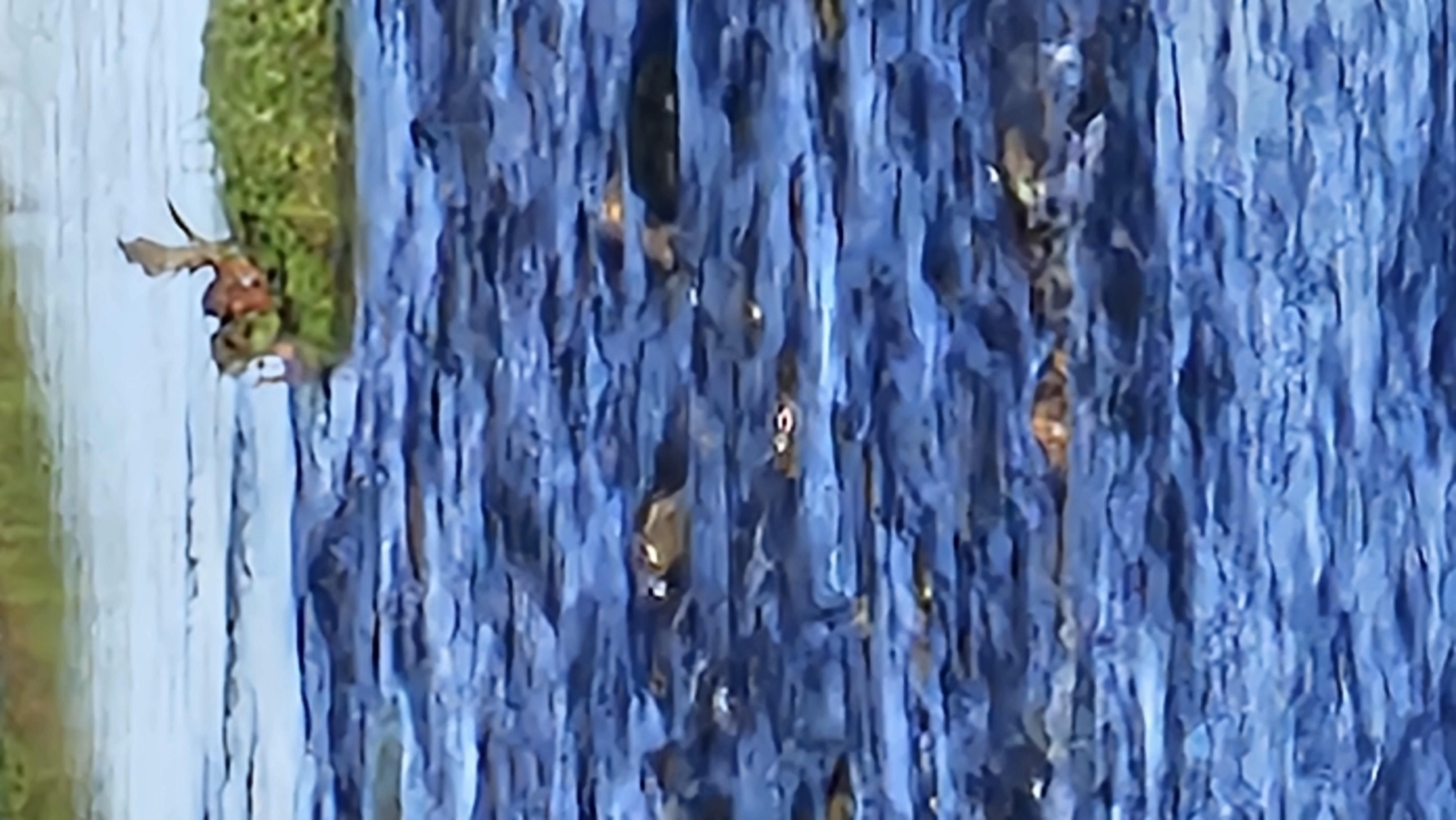 20250926_093808.jpg