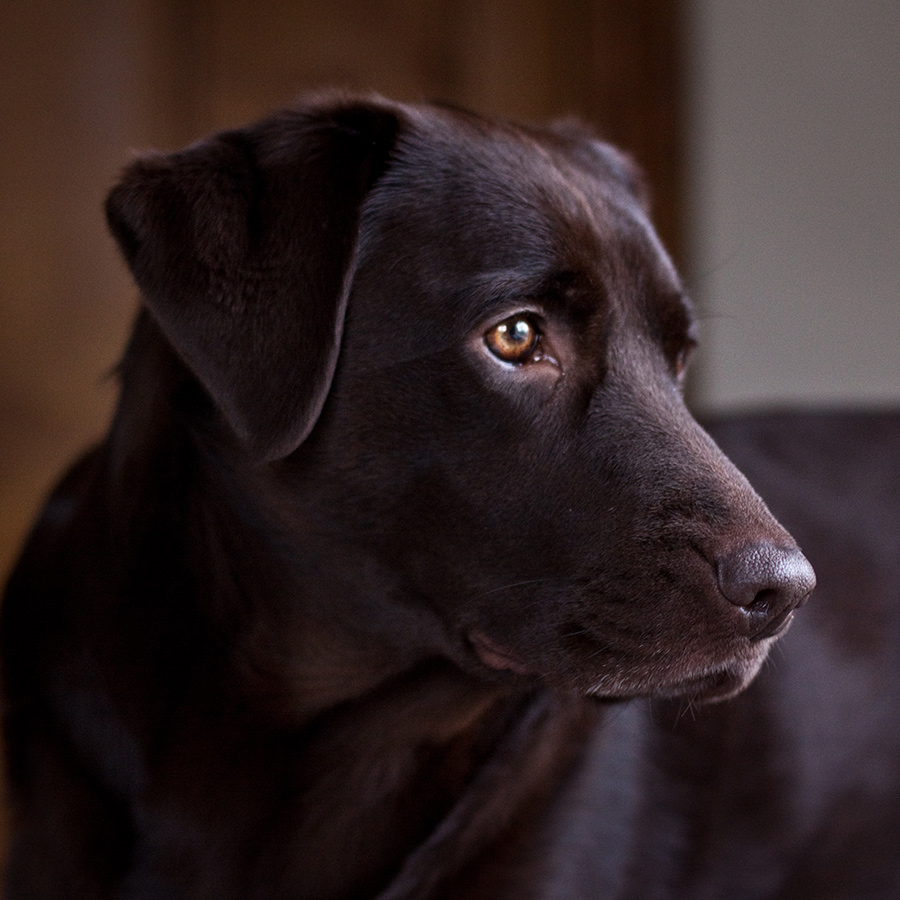 JESS_6599_sq_900pxl.jpg
