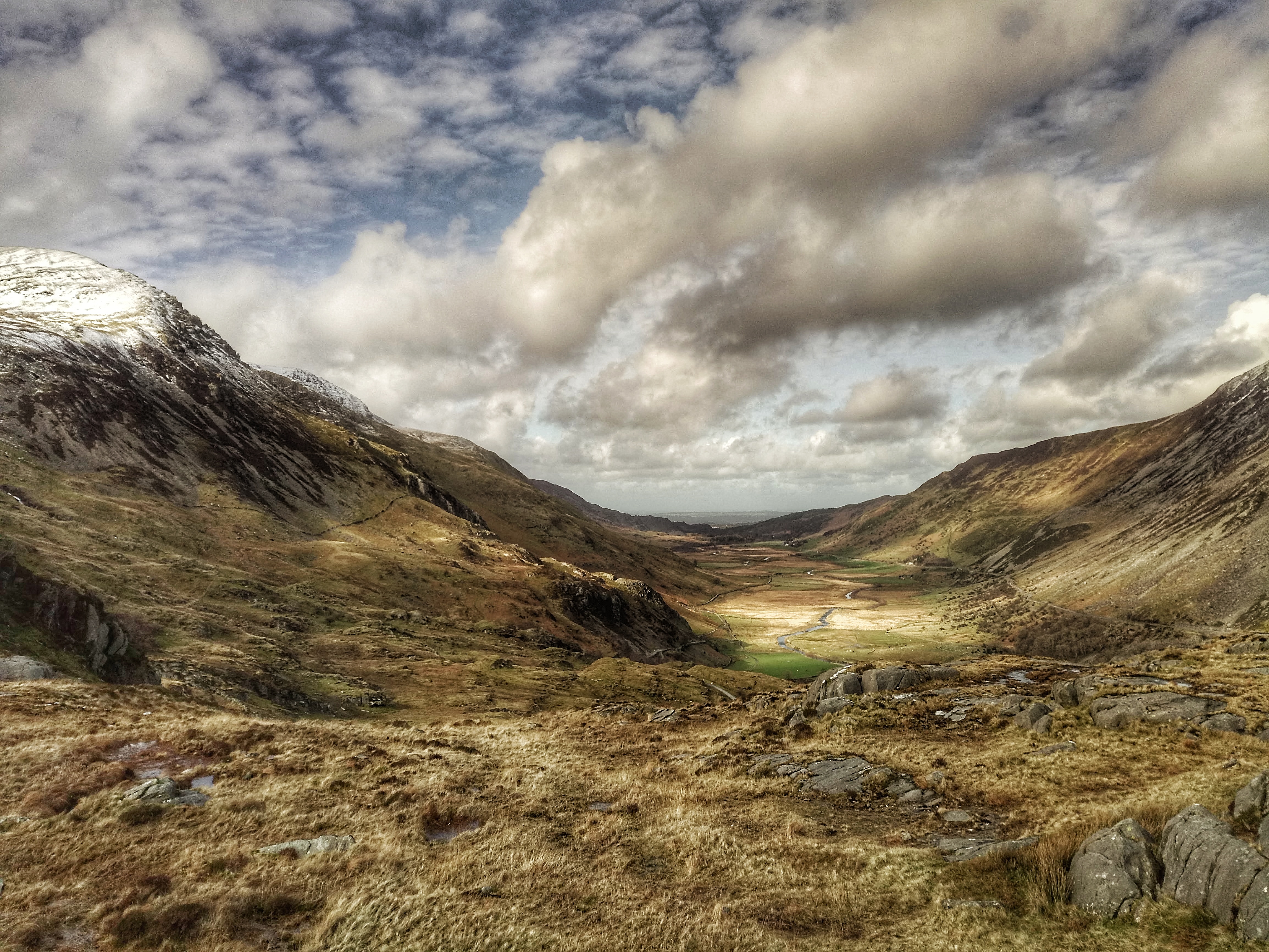 DSC_0114-01.jpeg