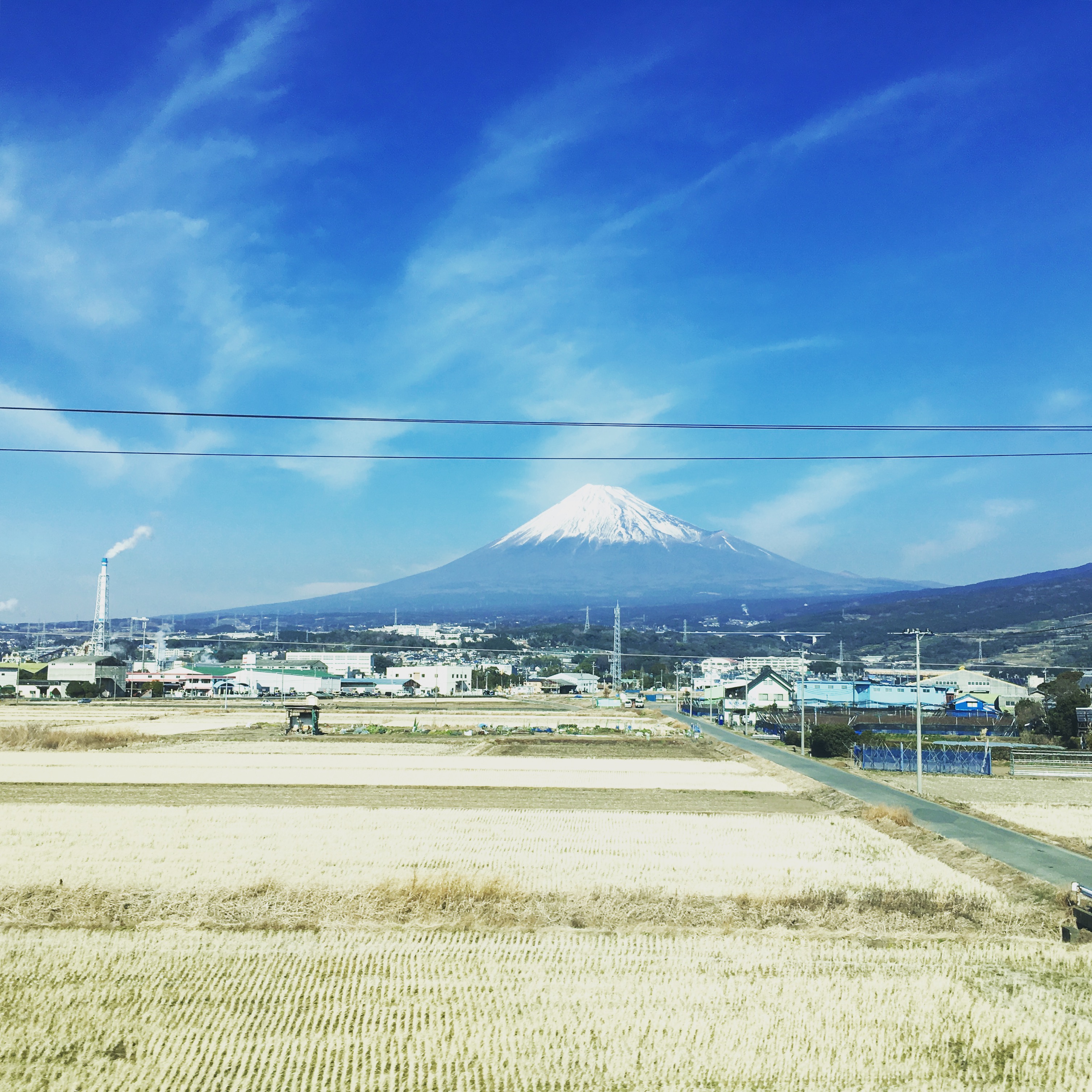 55EEC70C-3F2A-4B34-B2F7-E6EB6ECAE651.jpeg