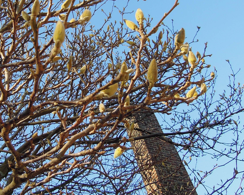 Spring 2018.jpg