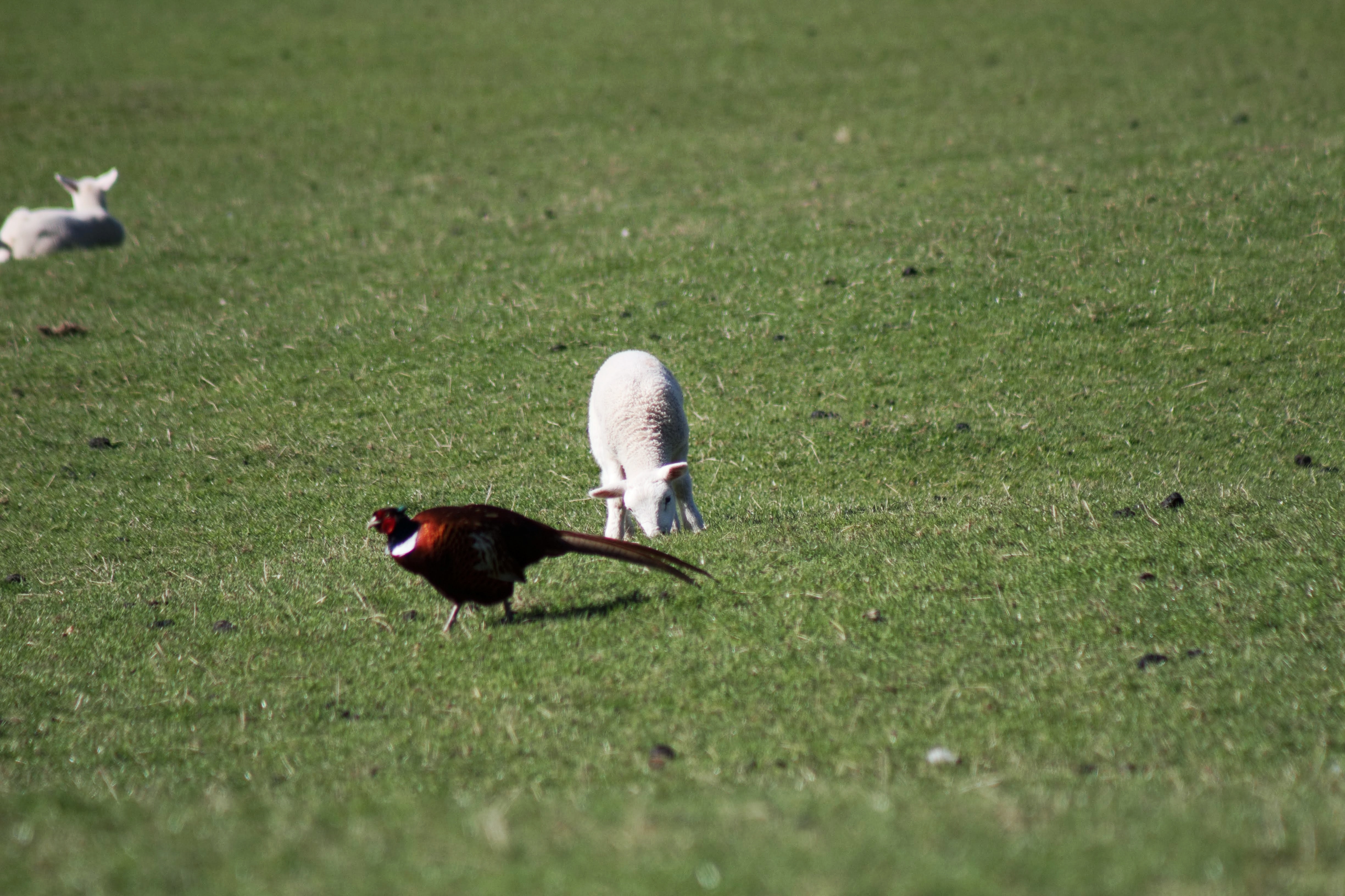 IMG_9275-01.jpeg